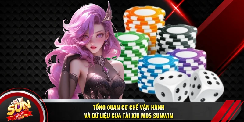 Tổng quan cơ chế vận hành và dữ liệu của Tài xỉu MD5 SUNWIN
